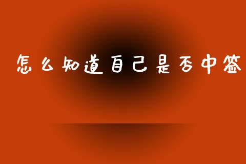 怎么知道自己是否中签_https://cj002.lansai.wang_财经问答_第1张