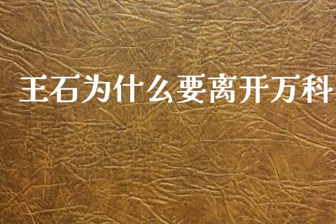 王石为什么要离开万科_https://cj002.lansai.wang_金融问答_第1张