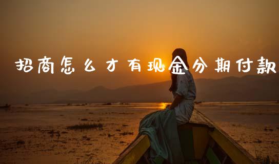 招商怎么才有现金分期付款_https://cj002.lansai.wang_金融问答_第1张