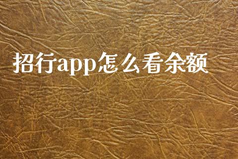 招行app怎么看余额_https://cj002.lansai.wang_金融问答_第1张