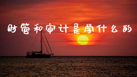 财管和审计是学什么的_https://cj002.lansai.wang_会计问答_第1张