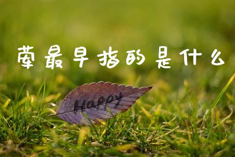 荤最早指的是什么_https://cj002.lansai.wang_理财问答_第1张