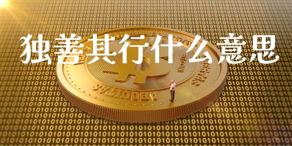 独善其行什么意思_https://cj002.lansai.wang_期货问答_第1张