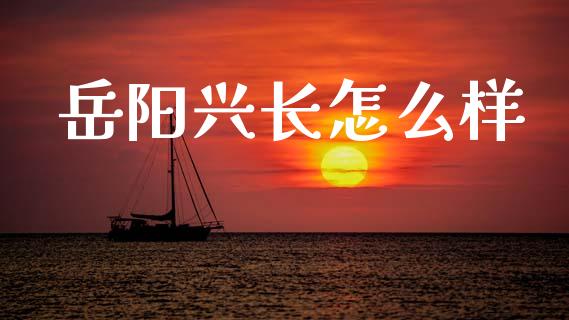 岳阳兴长怎么样_https://cj002.lansai.wang_财经百问_第1张