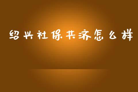 绍兴社保共济怎么样_https://cj002.lansai.wang_保险问答_第1张