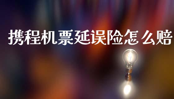携程机票延误险怎么赔_https://cj002.lansai.wang_保险问答_第1张