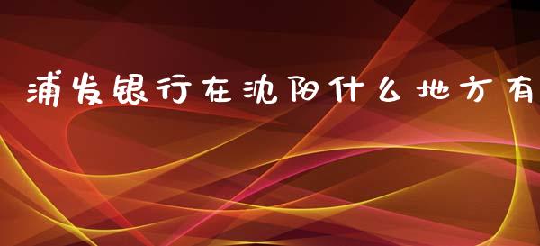 浦发银行在沈阳什么地方有_https://cj002.lansai.wang_金融问答_第1张