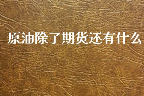 原油除了期货还有什么_https://cj002.lansai.wang_财经问答_第1张