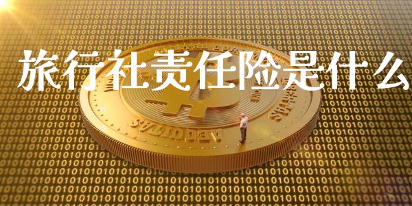 旅行社责任险是什么_https://cj002.lansai.wang_会计问答_第1张
