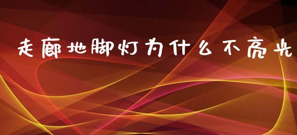 走廊地脚灯为什么不亮光_会计问答_第1张_财经百问网 走廊地脚灯为什么不亮光_https://cj002.lansai.wang_会计问答_第1张