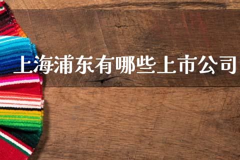 上海浦东有哪些上市公司_https://cj002.lansai.wang_财经百问_第1张