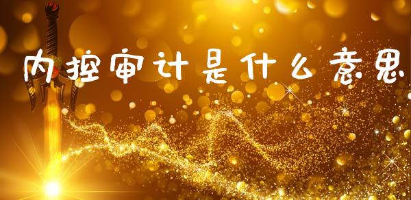 内控审计是什么意思_https://cj002.lansai.wang_会计问答_第1张