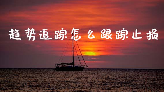 趋势追踪怎么跟踪止损_https://cj002.lansai.wang_期货问答_第1张