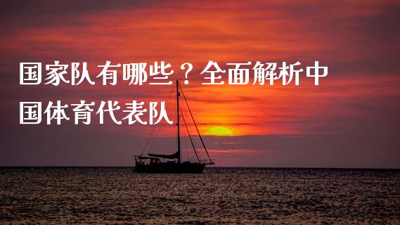国家队有哪些？全面解析中国体育代表队_https://cj002.lansai.wang_理财问答_第1张