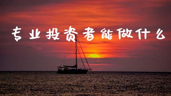 专业投资者能做什么_https://cj002.lansai.wang_保险问答_第1张