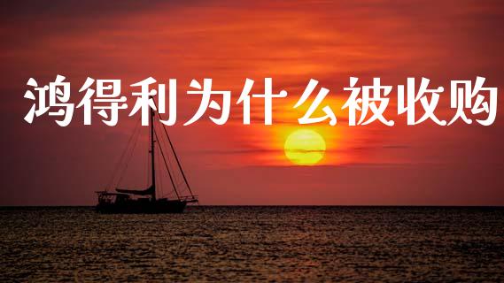 鸿得利为什么被收购_https://cj002.lansai.wang_股市问答_第1张