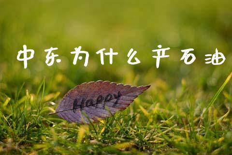 中东为什么产石油_https://cj002.lansai.wang_理财问答_第1张