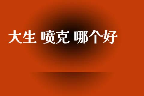 大生 喷克 哪个好_https://cj002.lansai.wang_理财问答_第1张