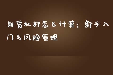期货杠杆怎么计算：新手入门与风险管理_https://cj002.lansai.wang_财经百问_第1张