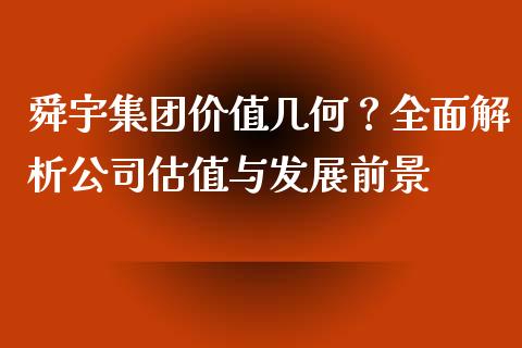 舜宇集团价值几何？全面解析公司估值与发展前景_https://cj002.lansai.wang_保险问答_第1张