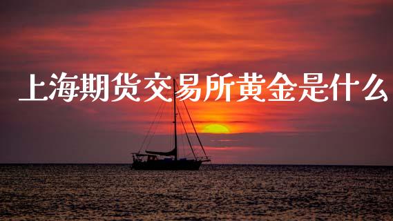上海期货交易所黄金是什么_https://cj002.lansai.wang_理财问答_第1张