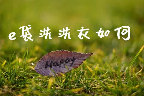 e袋洗洗衣如何_https://cj002.lansai.wang_金融问答_第1张