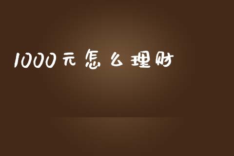 1000元怎么理财_https://cj002.lansai.wang_金融问答_第1张