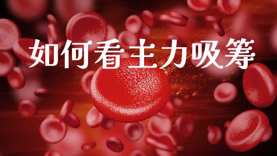 如何看主力吸筹_https://cj002.lansai.wang_财经问答_第1张