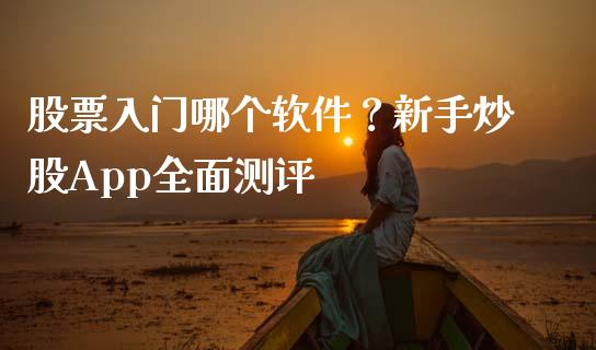 股票入门哪个软件？新手炒股App全面测评_https://cj002.lansai.wang_金融问答_第1张