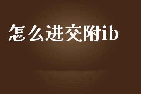 怎么进交附ib_https://cj002.lansai.wang_财经问答_第1张