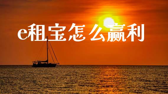 e租宝怎么赢利_https://cj002.lansai.wang_会计问答_第1张