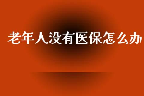 老年人没有医保怎么办_https://cj002.lansai.wang_保险问答_第1张