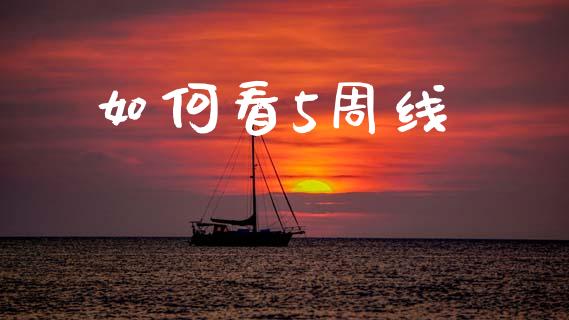 如何看5周线_财经百问_第1张_财经百问网 如何看5周线_https://cj002.lansai.wang_财经百问_第1张