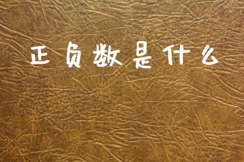 正负数是什么_https://cj002.lansai.wang_理财问答_第1张