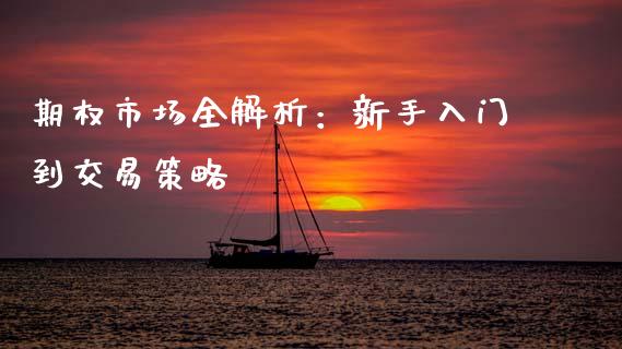 期权市场全解析：新手入门到交易策略_https://cj002.lansai.wang_财经问答_第1张