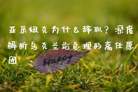 亚采纽克为什么辞职？深度解析乌克兰前总理的离任原因_https://cj002.lansai.wang_财经百问_第1张
