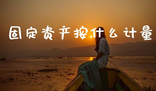 固定资产按什么计量_https://cj002.lansai.wang_会计问答_第1张