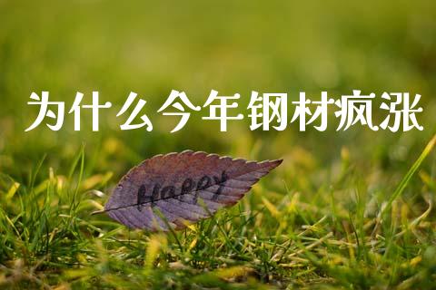 为什么今年钢材疯涨_https://cj002.lansai.wang_财经问答_第1张