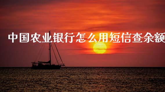 中国农业银行怎么用短信查余额_https://cj002.lansai.wang_金融问答_第1张
