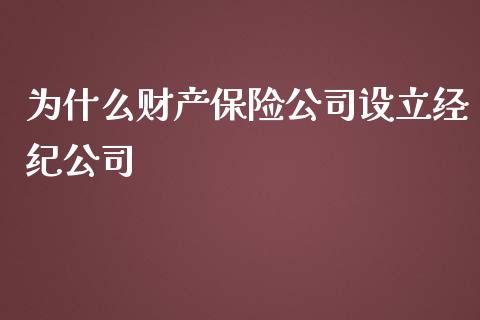 为什么财产保险公司设立经纪公司_https://cj002.lansai.wang_财经百问_第1张