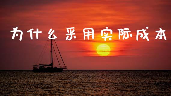 为什么采用实际成本_https://cj002.lansai.wang_会计问答_第1张