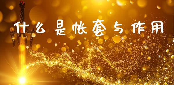 什么是帐套与作用_https://cj002.lansai.wang_会计问答_第1张