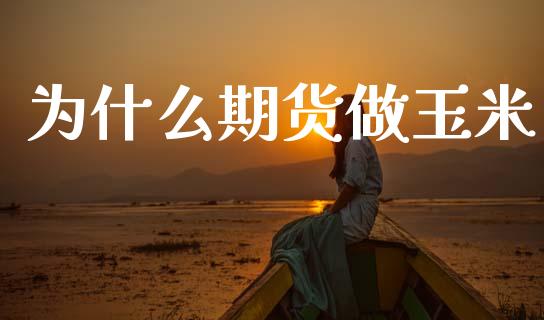 为什么期货做玉米_https://cj002.lansai.wang_会计问答_第1张