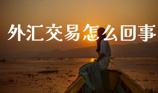 外汇交易怎么回事_https://cj002.lansai.wang_财经问答_第1张