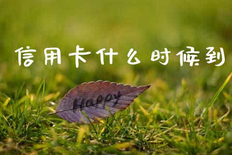 信用卡什么时候到_https://cj002.lansai.wang_金融问答_第1张