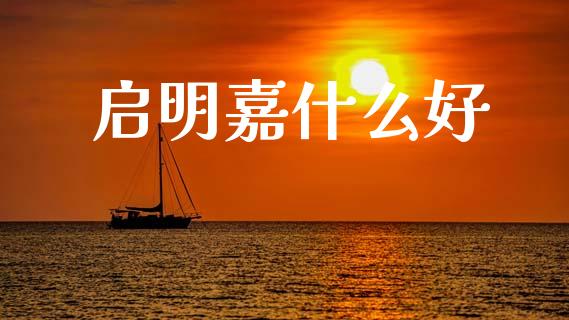 启明嘉什么好_保险问答_第1张_财经百问网 启明嘉什么好_https://cj002.lansai.wang_保险问答_第1张