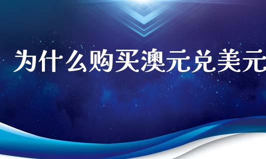 为什么购买澳元兑美元_https://cj002.lansai.wang_财经问答_第1张