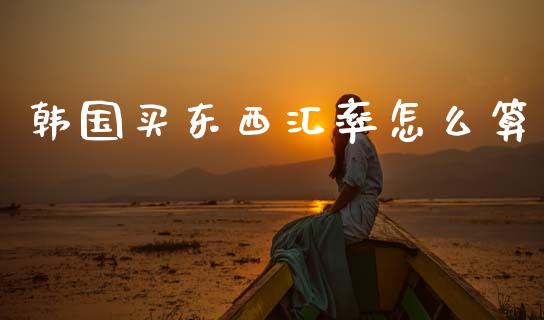 韩国买东西汇率怎么算_https://cj002.lansai.wang_财经问答_第1张