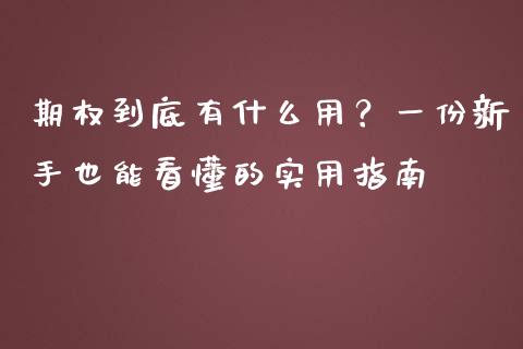 期权到底有什么用？一份新手也能看懂的实用指南_https://cj002.lansai.wang_财经百问_第1张