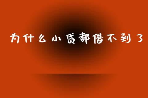 为什么小贷都借不到了_https://cj002.lansai.wang_理财问答_第1张